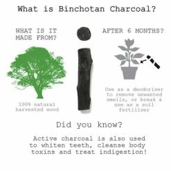 Black + Blum Black Charcoal Filter Water Bottle